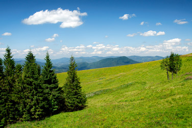 Similar image 1645265