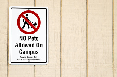 Similar image 1645280