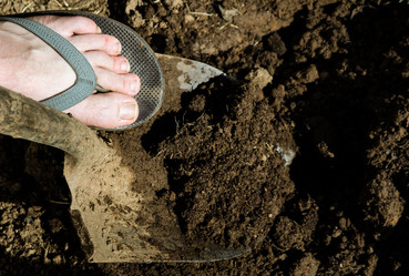 Similar image 1645287