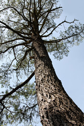 Similar image 1645289