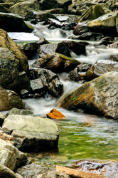 Similar image 1645297