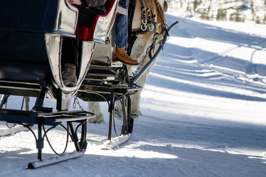 Similar image 1645303