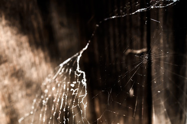 Similar image 1645308