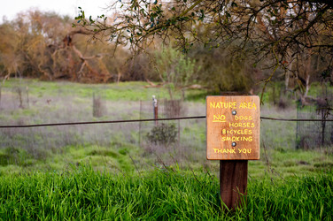 Similar image 1645311