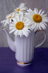 Similar image 1645387