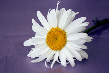 Similar image 1645393