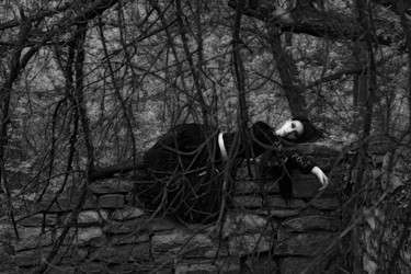 Similar image 1645526