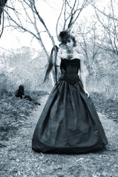 Similar image 1645529