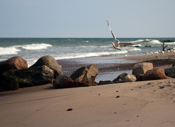 Similar image 1645541