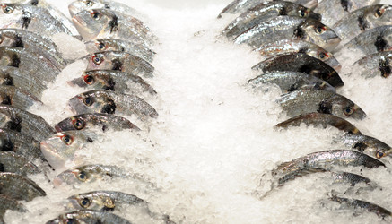 Similar image 1645617