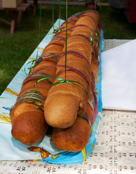 Similar image 1645632