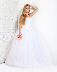 Similar image 1645649