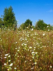 Similar image 1645687