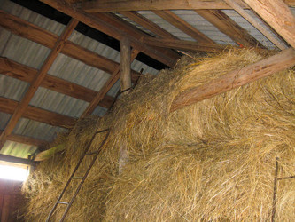 Similar image 1645744