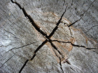 Similar image 1645752