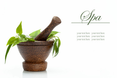 Similar image 1645839