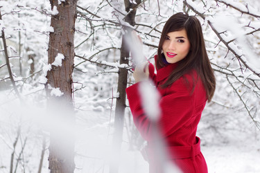 Similar image 1645871