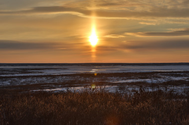 Similar image 1645880