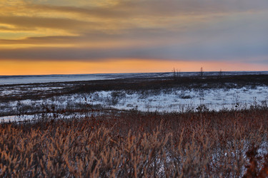 Similar image 1645882