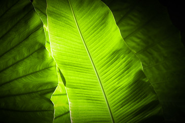 Similar image 1645884