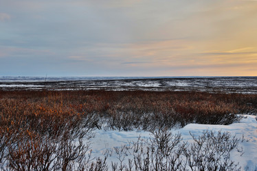 Similar image 1645887