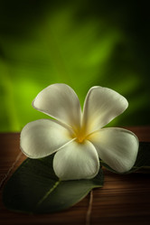 Similar image 1645889