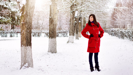 Similar image 1645911