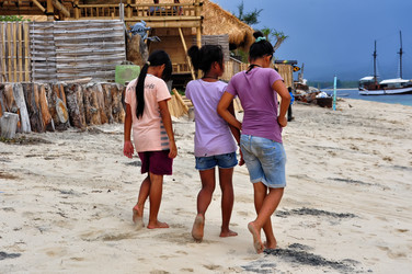 Similar image 1646088