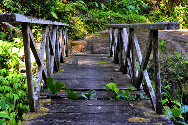 Similar image 1646105