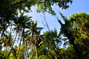 Similar image 1646106