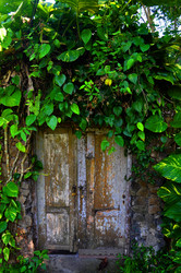 Similar image 1646110