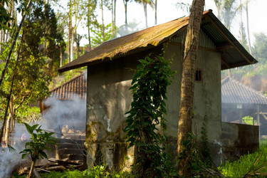 Similar image 1646112