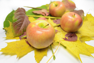 Similar image 1646166