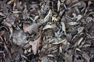 Similar image 1646168