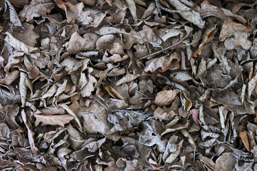 Similar image 1646169