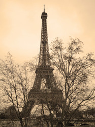 Similar image 1646189