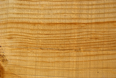 Similar image 1646212