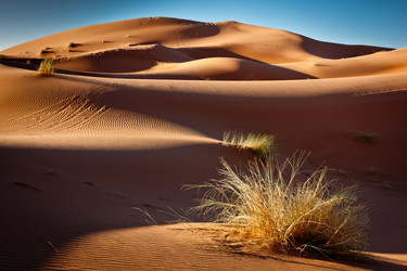 Similar image 1646224