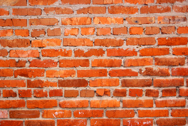 Similar image 1646230