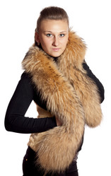 Similar image 1646233