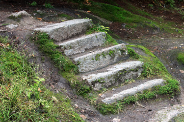 Similar image 1646282