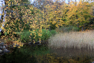 Similar image 1646284