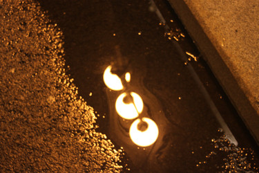 Similar image 1646286