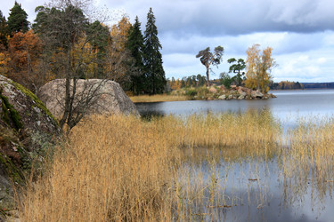 Similar image 1646290