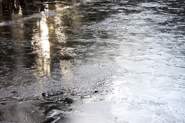 Similar image 1646292