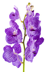 Similar image 1646321