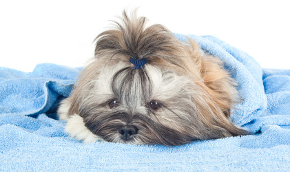 Similar image 1646325