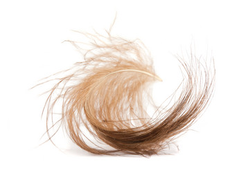 Similar image 1646329