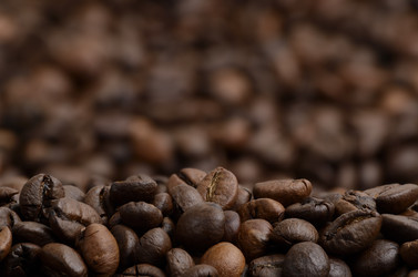 Similar image 1646364