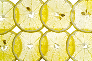 Similar image 1646424